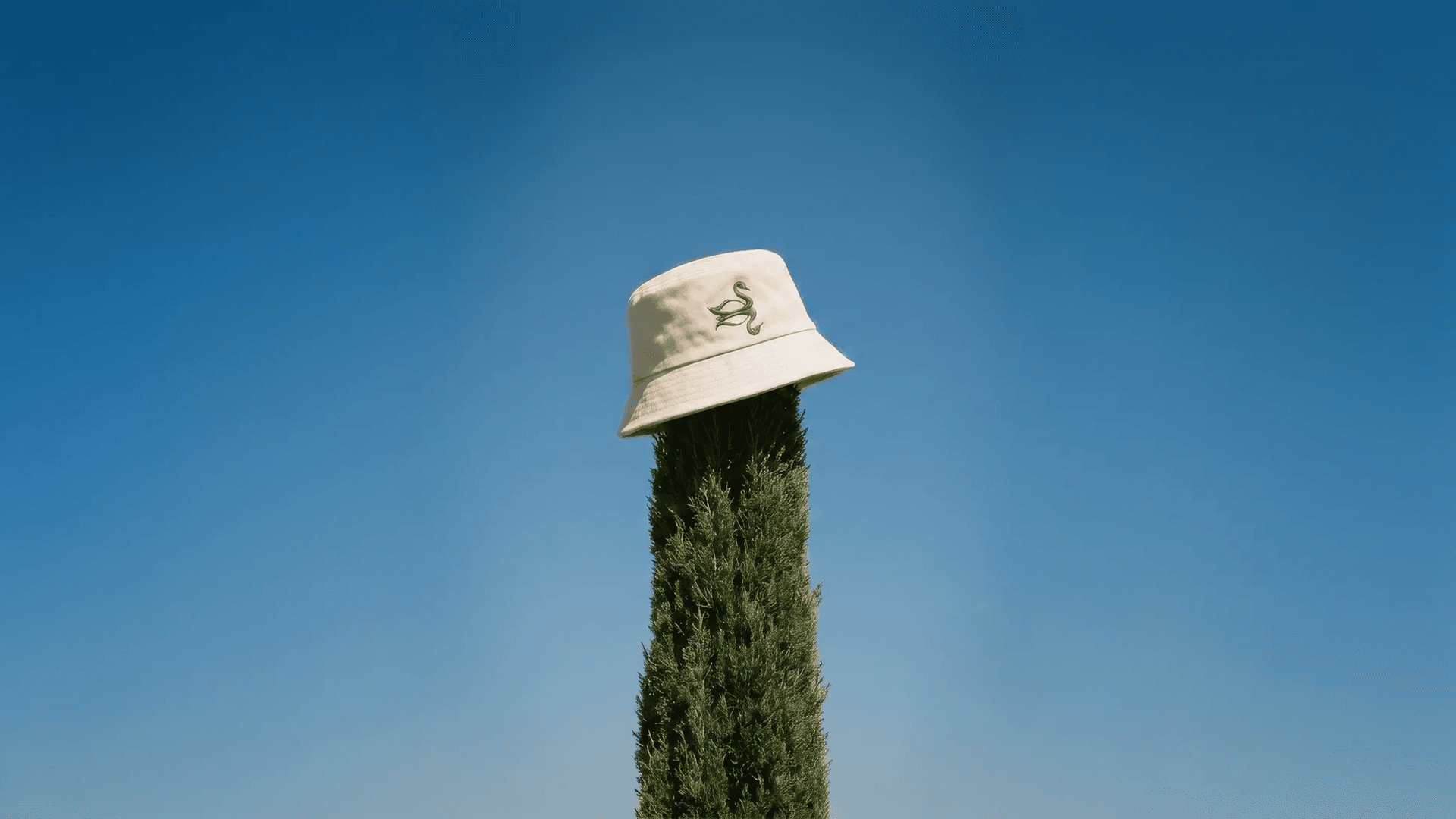 A bucket hat resting on a topiary against a blue sky